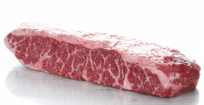 Chuck flap tail Angus